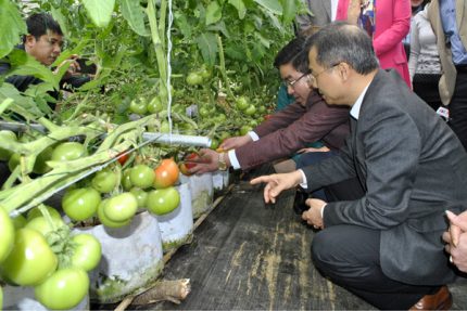 Phó Chủ tịch UBND tỉnh Đặng Xuân Thanh kiểm tra mô hình nông nghiệp ứng dụng kỹ thuật công nghệ cao
