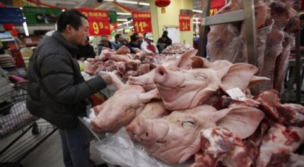 Bộ Công Thương cảnh báo Trung Quốc giảm giá, tăng đàn lợn thời gian tới