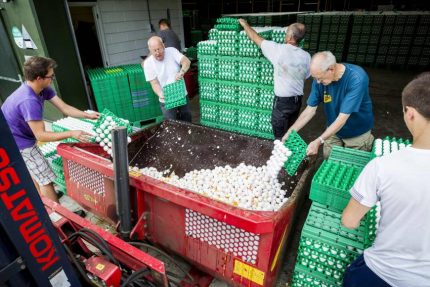 Bê bối trứng “bẩn” tại Hà Lan gây ảnh hưởng nghiêm trọng