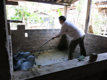 Điểm sáng quản lý chất thải chăn nuôi  tại xã Nông thôn mới Nậm Cang, huyện Sa Pa