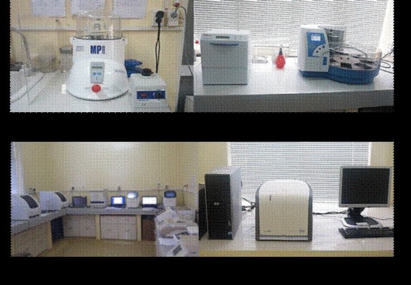 8 phòng thí nghiệm xét nghiệm miễn phí  bệnh dịch tả Châu Phi