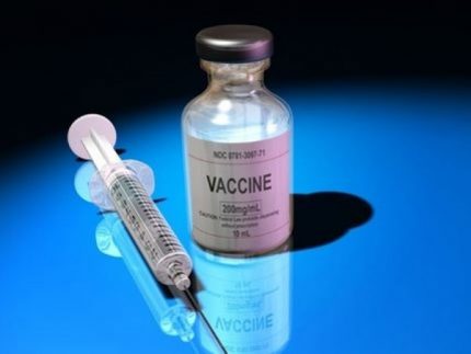 Biến đổi gen vi khuẩn để chế tạo vắc-xin