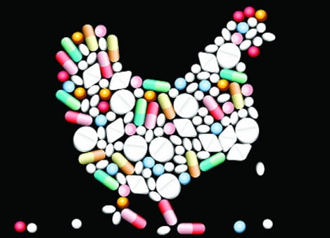 Quy định về sử dụng kháng sinh trong chăn nuôi động vật trên cạn